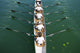 Boat Coxed Four Wall Decal