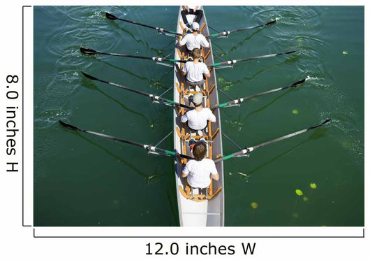 Boat Coxed Four Wall Decal