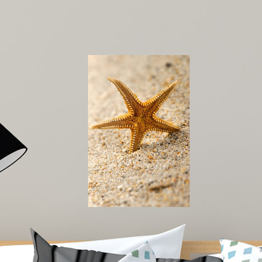Star Fish Wall Decal
