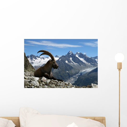 Bouquetin Au Pays Du Wall Decal
