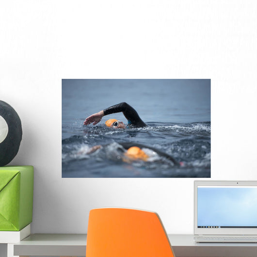 Unknown Swimmer Sea Wall Decal Design 3
