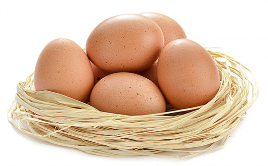Eggs Nest White Wall Decal