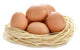 Eggs Nest White Wall Decal