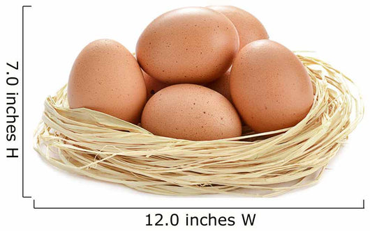 Eggs Nest White Wall Decal