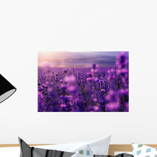 Blurred Summer Wild Grass Wall Decal