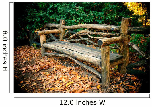 Central Park Autumn Wall Decal