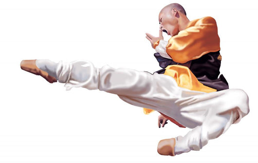 Kung Fu Wall Decal
