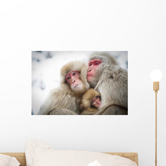 Loving Monkeys Wall Decal