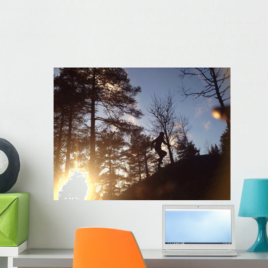 Spring Trail Running 1 Wall Decal