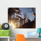 Spring Trail Running 1 Wall Decal