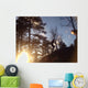 Spring Trail Running 1 Wall Decal