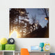 Spring Trail Running 1 Wall Decal