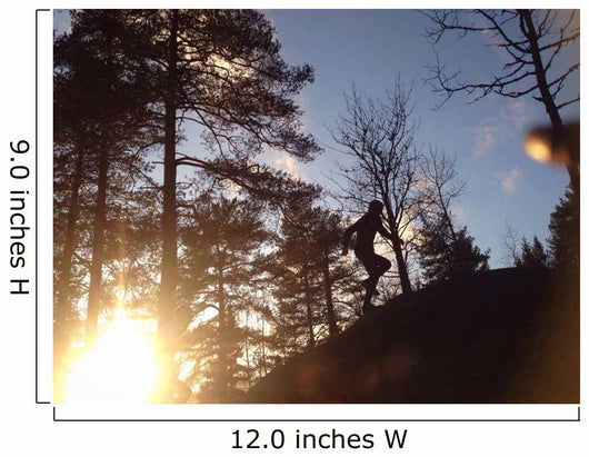 Spring Trail Running 1 Wall Decal