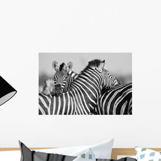 Zebra Herd Black and Wall Decal