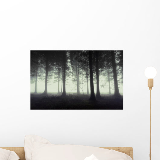 Gloomy Forest with Fog Wall Decal