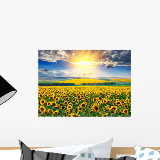 Sunflower Field Morning Wall Decal