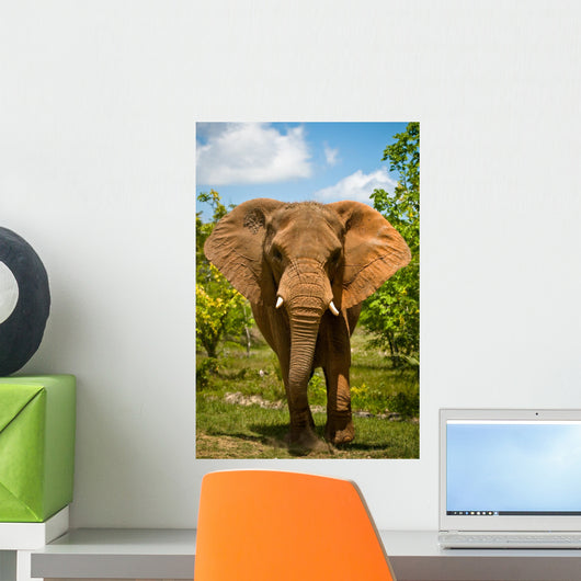 Charging African Elephant Wall Decal