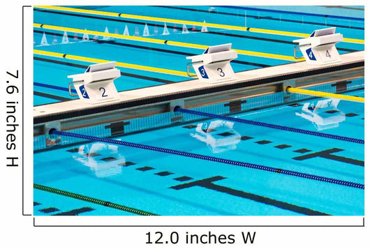 Olympic Sport Competition Swimming Wall Decal