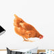 Pecking Chicken Wall Decal