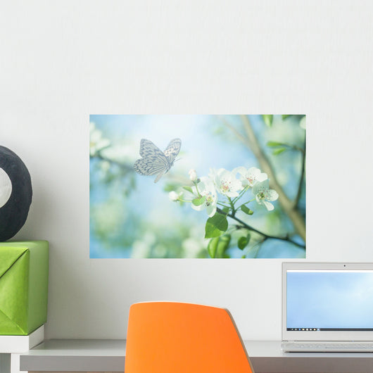 Pastel Colored Photo Butterfly Wall Decal Design 1