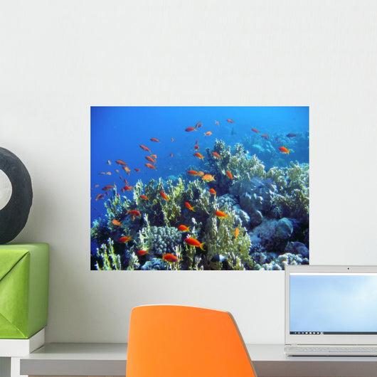 Life under Water Wall Decal