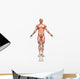 3D Male Figure with Wall Decal