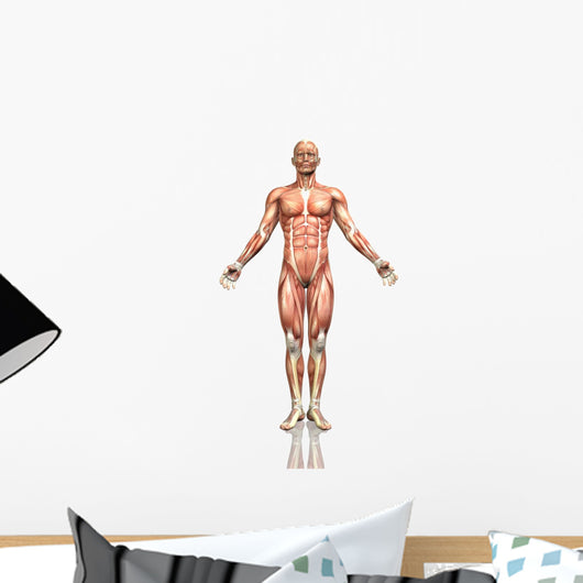 3D Male Figure with Wall Decal