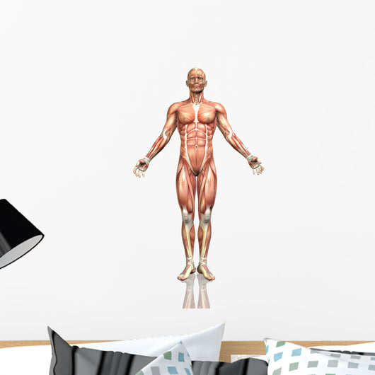 3D Male Figure with Wall Decal