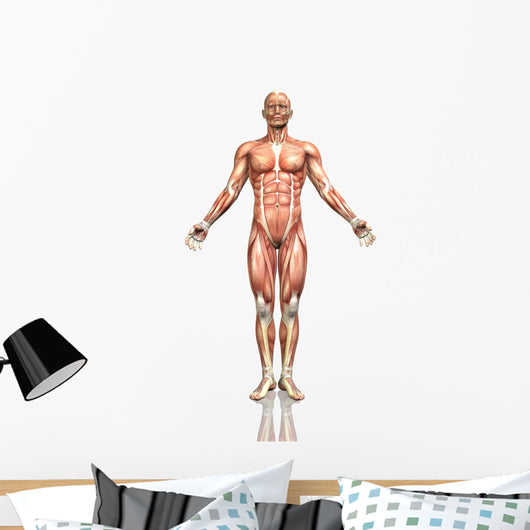 3D Male Figure with Wall Decal