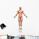 3D Male Figure with Wall Decal