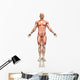 3D Male Figure with Wall Decal