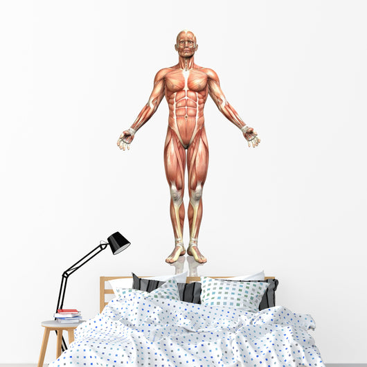 3D Male Figure with Wall Decal