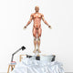 3D Male Figure with Wall Decal