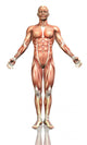 3D Male Figure with Wall Decal