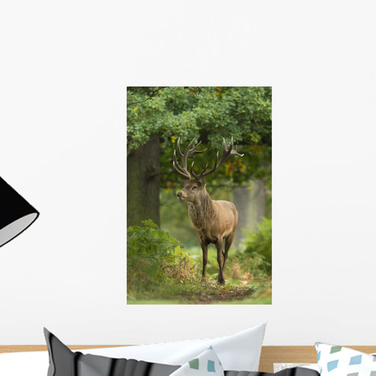 Red Deer Stag Wall Decal