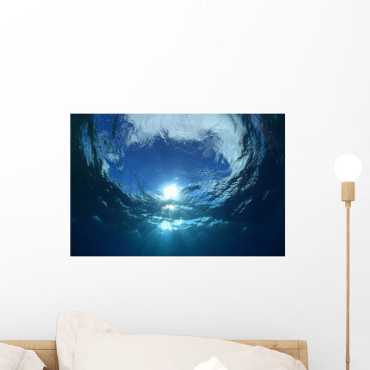 Water Surface and Sunlight Wall Decal