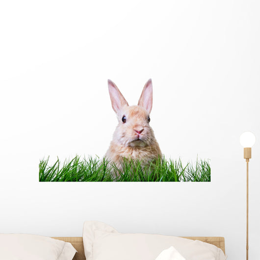 Ostern Hase Karte Wall Decal