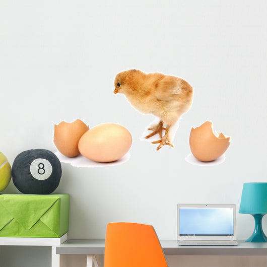 Beautiful Little Chicken Egg Wall Decal