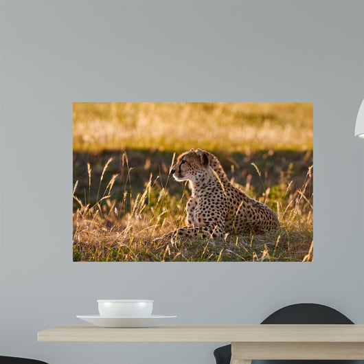 Female Cheetah Lying Grass Wall Decal