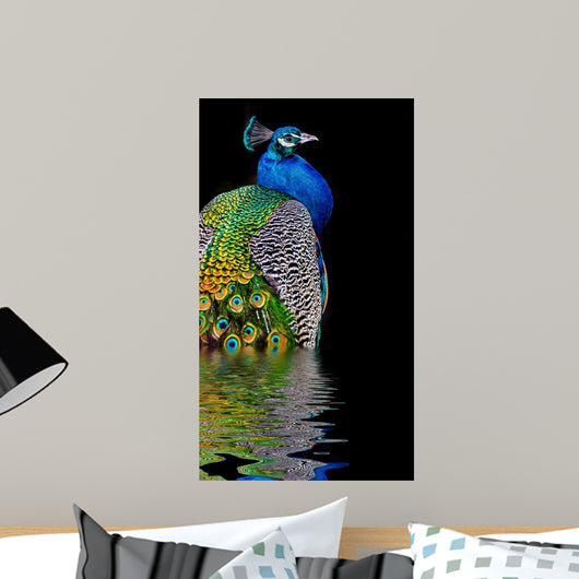 Peacock Dark Wall Decal