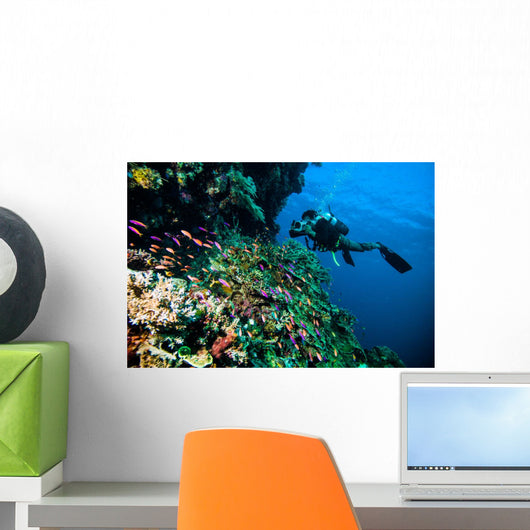 Diver Photo Video Seafan Wall Decal