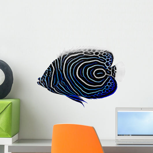 Emperor Angelfish Wall Decal