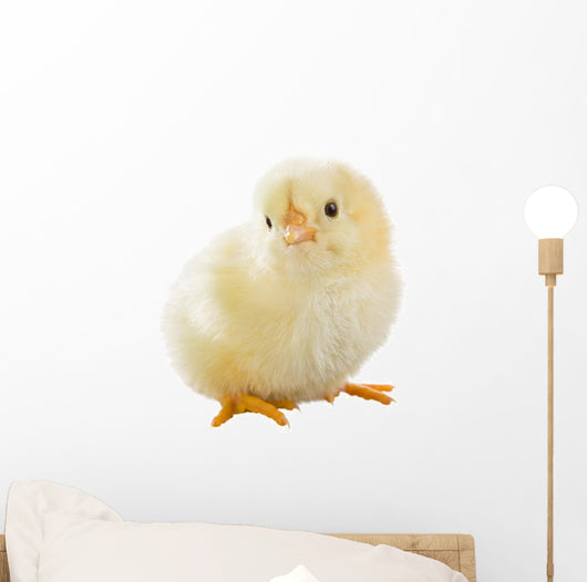 Little Chicken Wall Decal Design 2