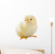 Little Chicken Wall Decal Design 2