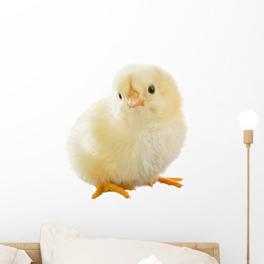 Little Chicken Wall Decal Design 2