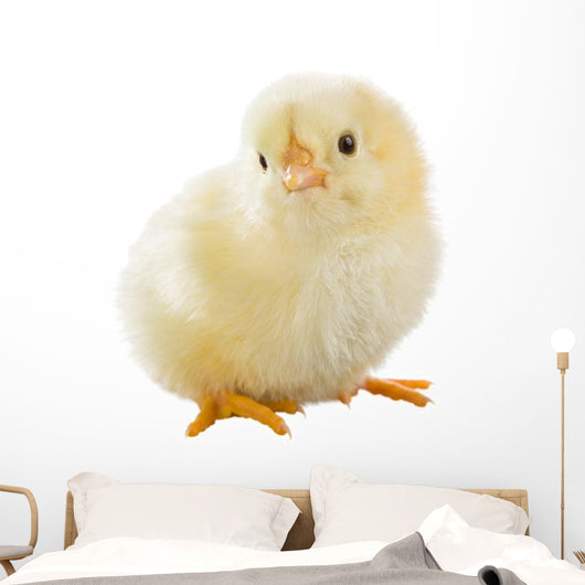 Little Chicken Wall Decal Design 2