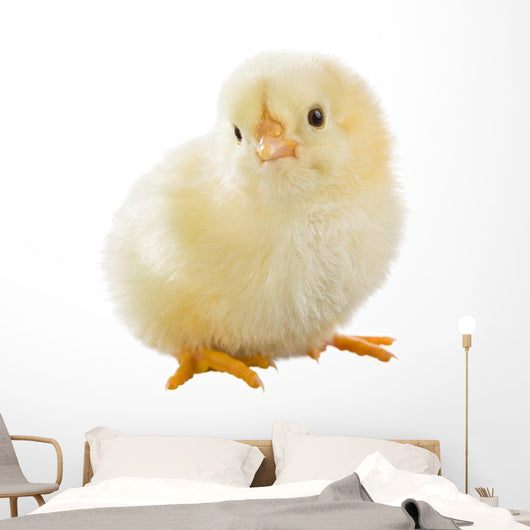 Little Chicken Wall Decal Design 2
