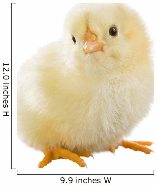 Little Chicken Wall Decal Design 2