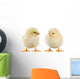 Little Chicken Wall Decal Design 1