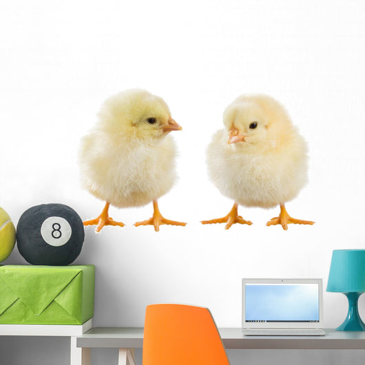 Little Chicken Wall Decal Design 1